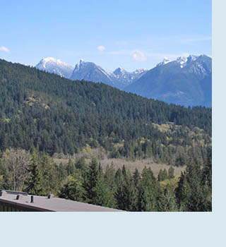 Photo of Belterra's mountain view.